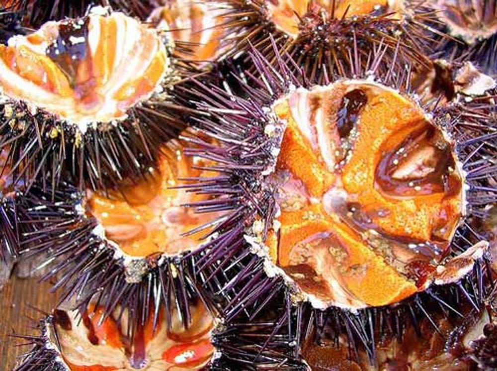 Ăn gì ở Phú Quốc? - Top món ăn mà bạn phải thưởng thức một lần