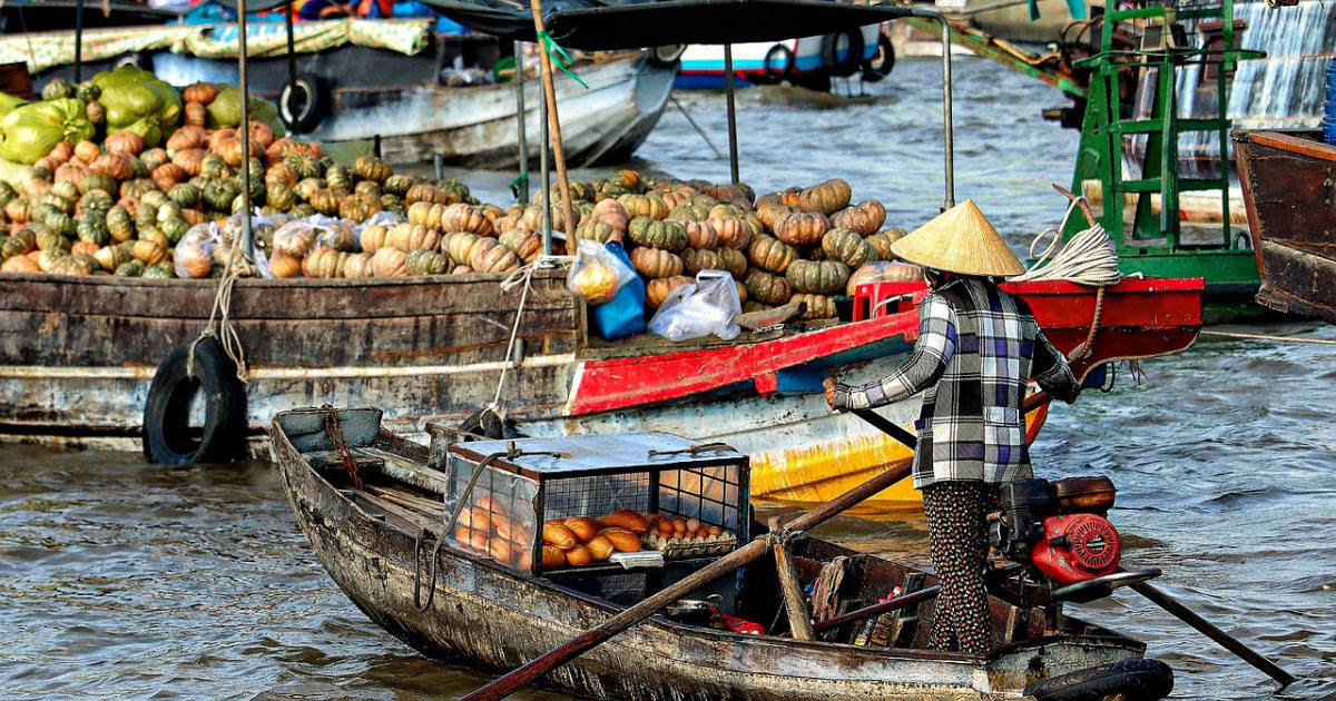 Explore Vietnam Tours Experience the Best of Southeast Asia
