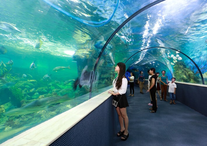 Entertainment Service is the Future of Hanoi Tourism Entertainment Service is the Future of Hanoi Tourism
