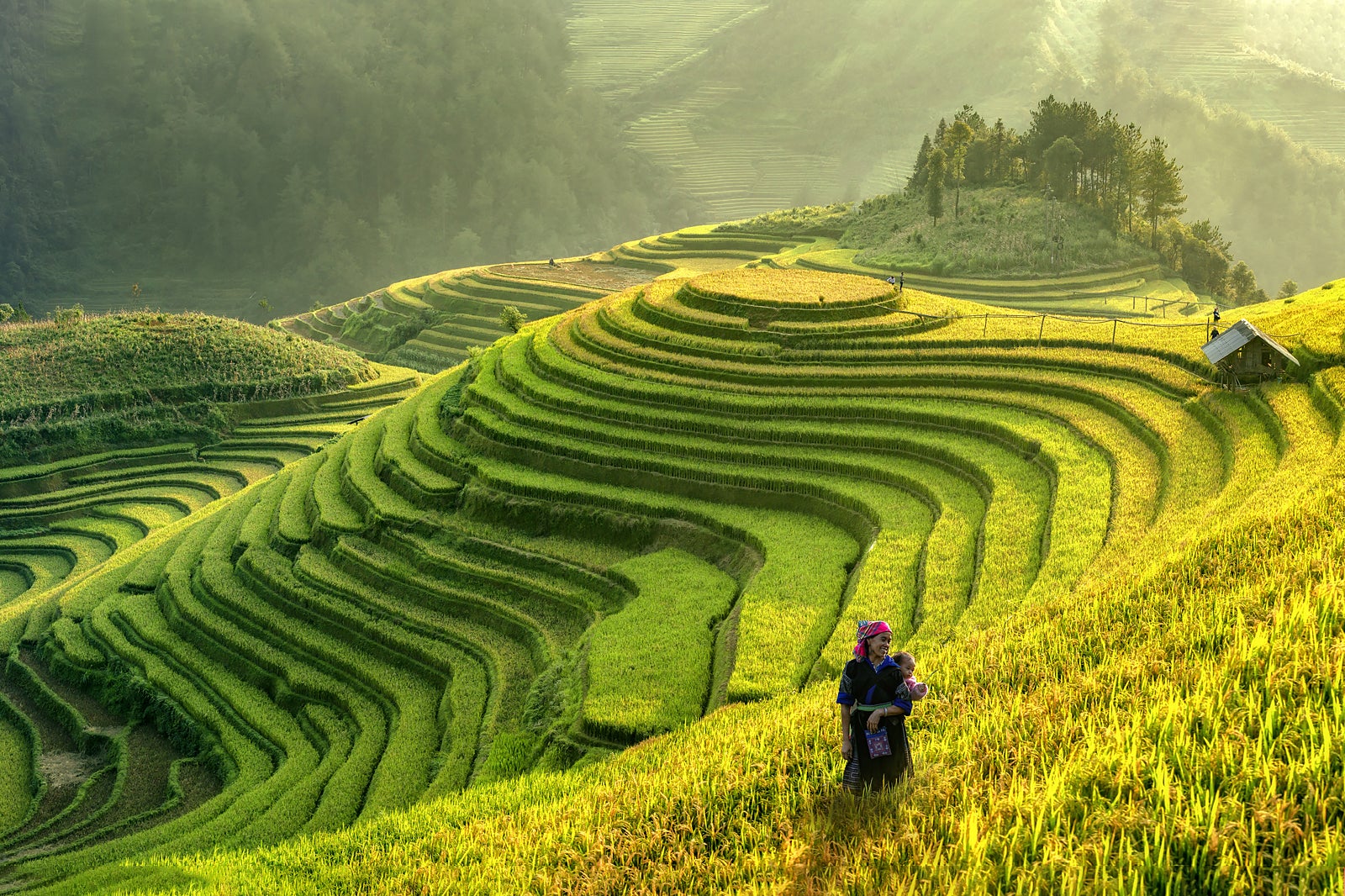 4 Reasons why you should head to Vietnam for a permanent job 4 Reasons why you should head to Vietnam for a permanent job
