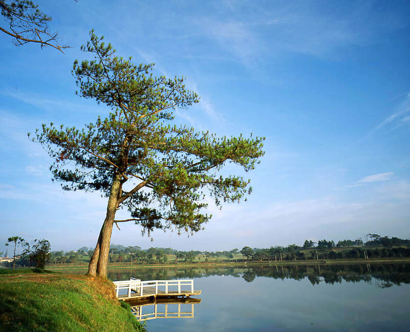 Khám phá Đà Lạt trong 3 ngày 2 đêm: Những kinh nghiệm phượt không thể bỏ qua