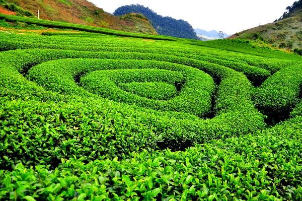 Exploring Vietnam Weather in November: Top Destinations for Travelers