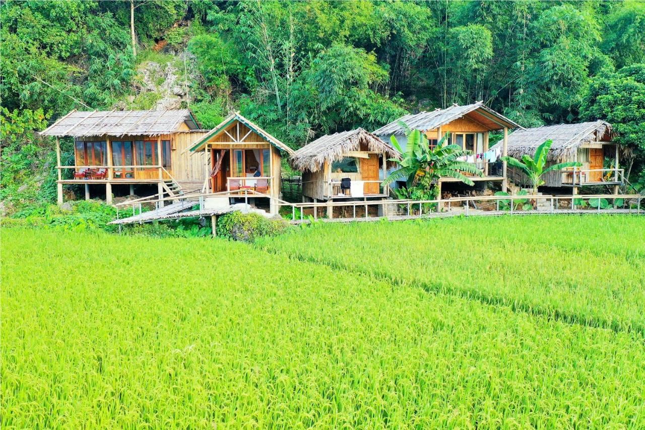 “Discover the Best Day Trips from Hanoi and Explore Northern Vietnam’s Hidden Gems”
